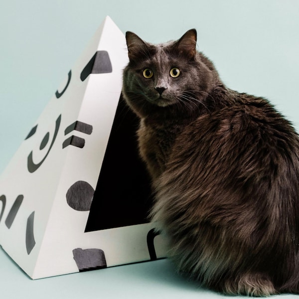 Kitty Kardboard | Modern Pet House | Stylish Cat Bed | Eco-Friendly Cat Teepee | Purrfect Gift for Cats and Cat Lovers | Black White Minimal