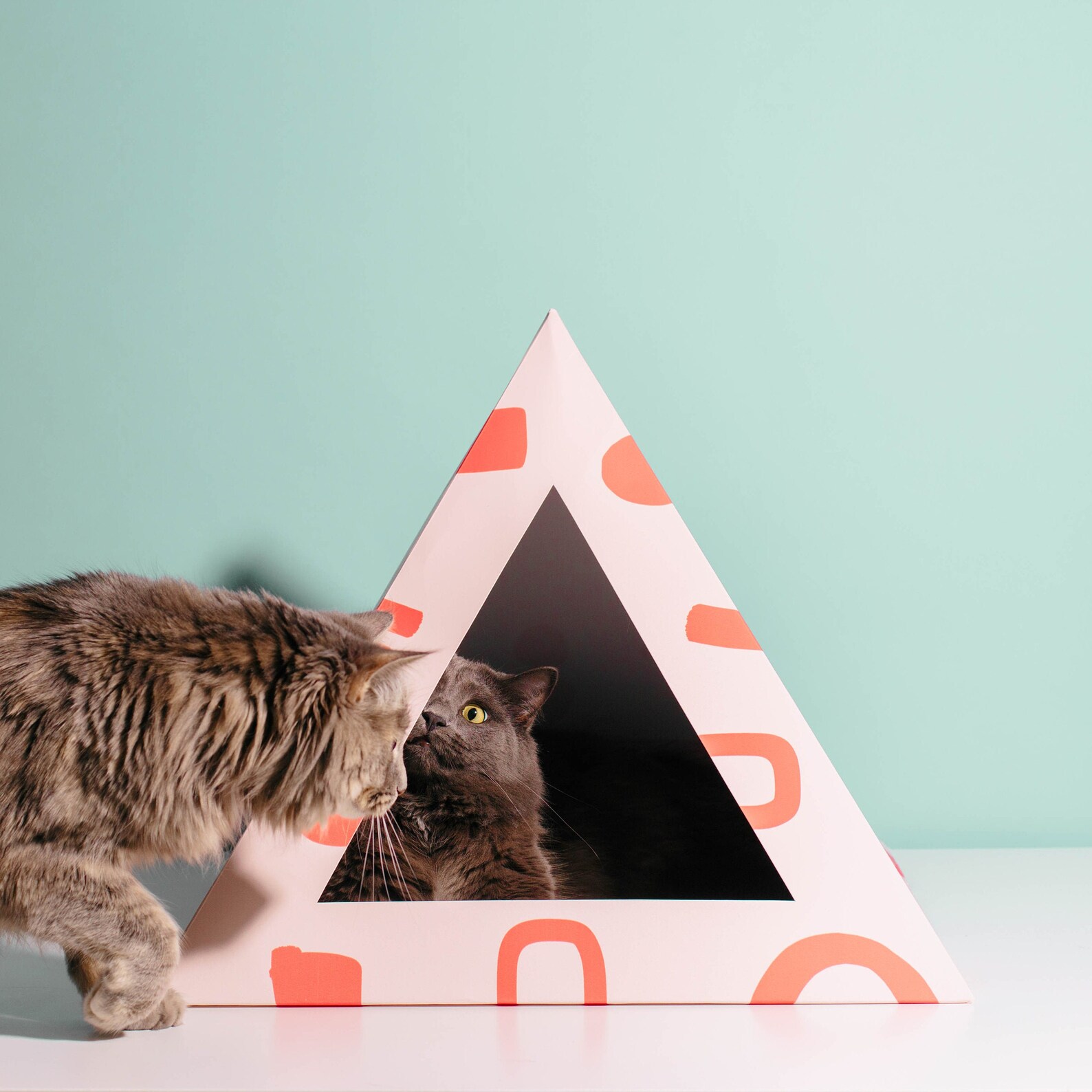 Scatter Cardboard Cat Box / Bed / Teepee / Tent / Hideaway / Etsy
