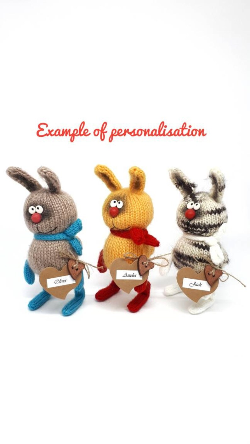 Gestrickte Hund mit Huhn auf einem Teller/Geschenk für Hunde Etsy