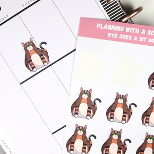 Hand Drawn Cat Planner Stickers | Decorative Cats Stickers |  Funny Cat Stickers | Cat Lovers Gift | Pet Stickers | Rye 003