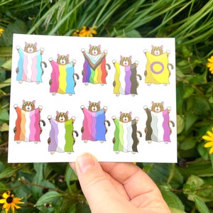 Kat springt met Trots Briefkaart | Handgetekende kunst | LGBTQ+ kunstafdruk | Trotsvlaggen | Transgender en niet-binair briefkaart | Vreemde kunst