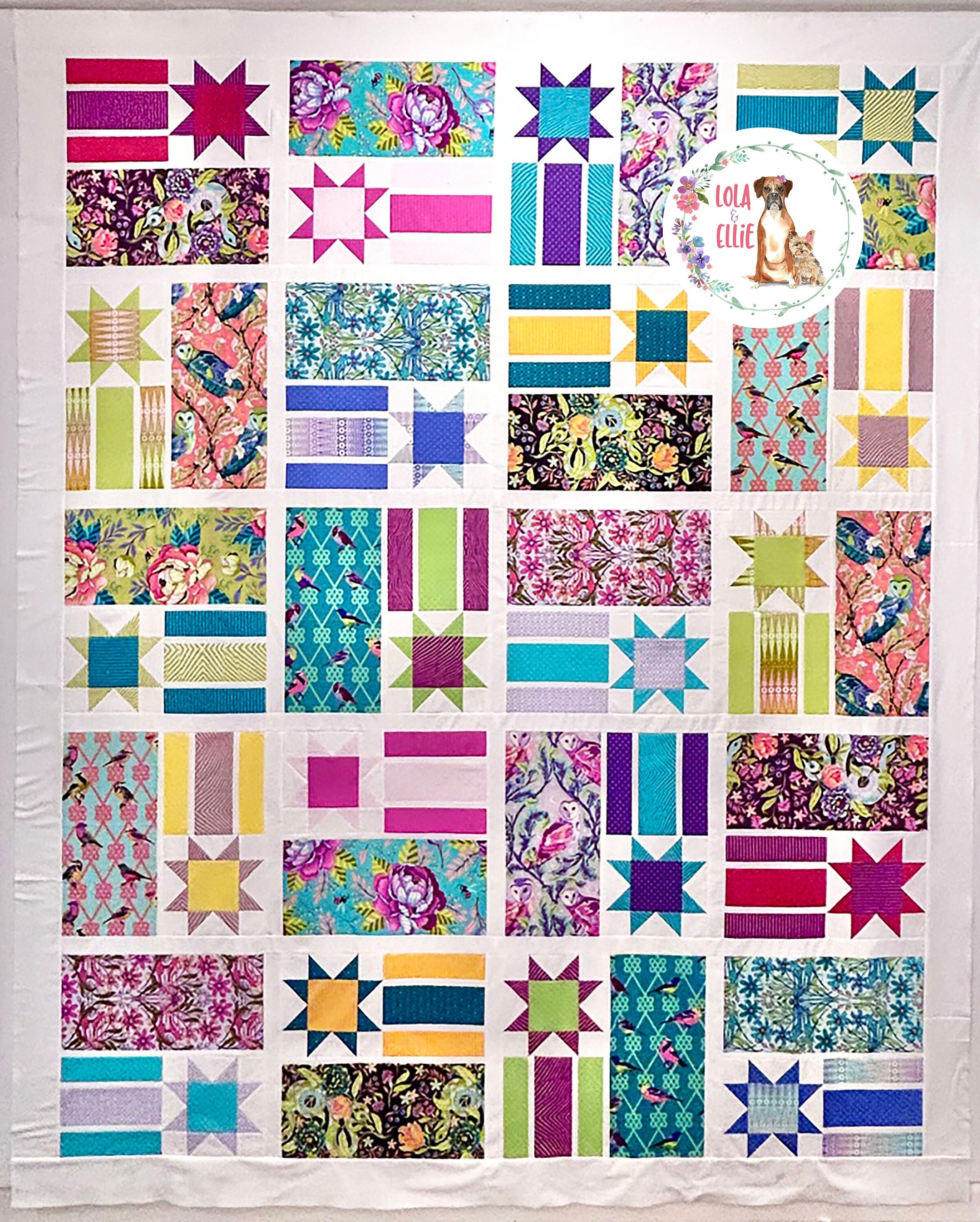 Tula Pink Nebula Block of the Month Quilt Kit - Tula Pink and Jaybird  Quilts - Justin Fabric