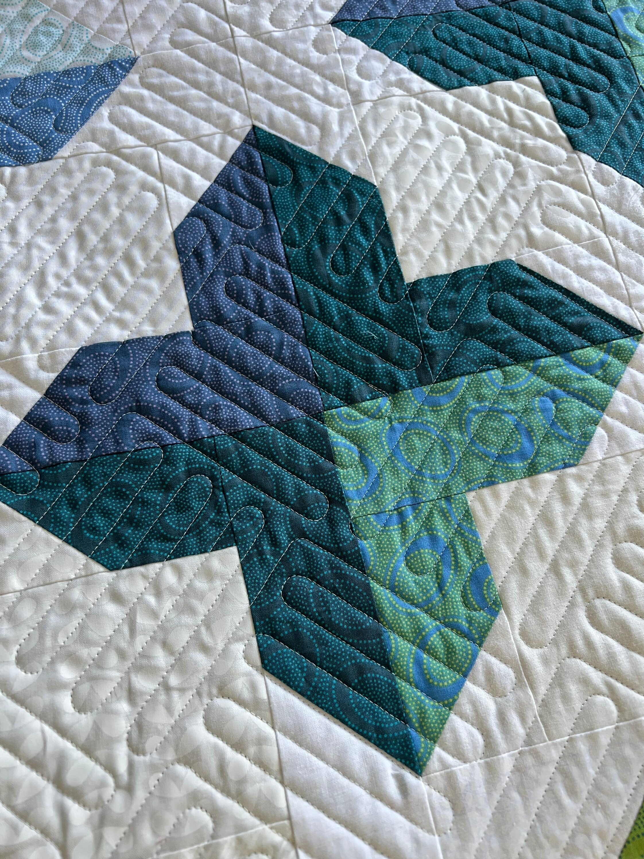 Trellis Quilt Kit Kaffe Quilt Kit King Size Quilt Kit Etsy