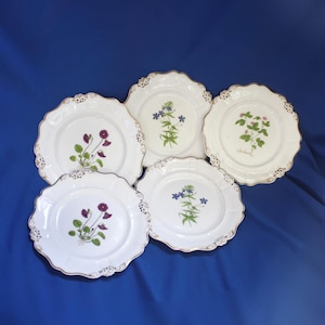 A Set of 5 Antique Ridgway English Porcelain Botanical Plates, circa 1830