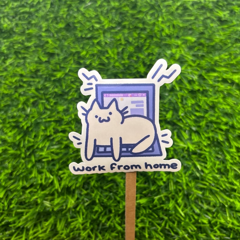 May include: A white cat sitting on a laptop with the text "work from home" on a sticker. The laptop is blue and has a white screen with a pink and white window open.
