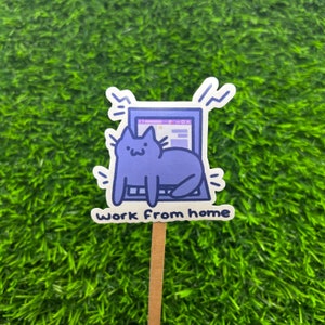 May include: A purple cat sits on a laptop with the text "Work from home" on a white background.