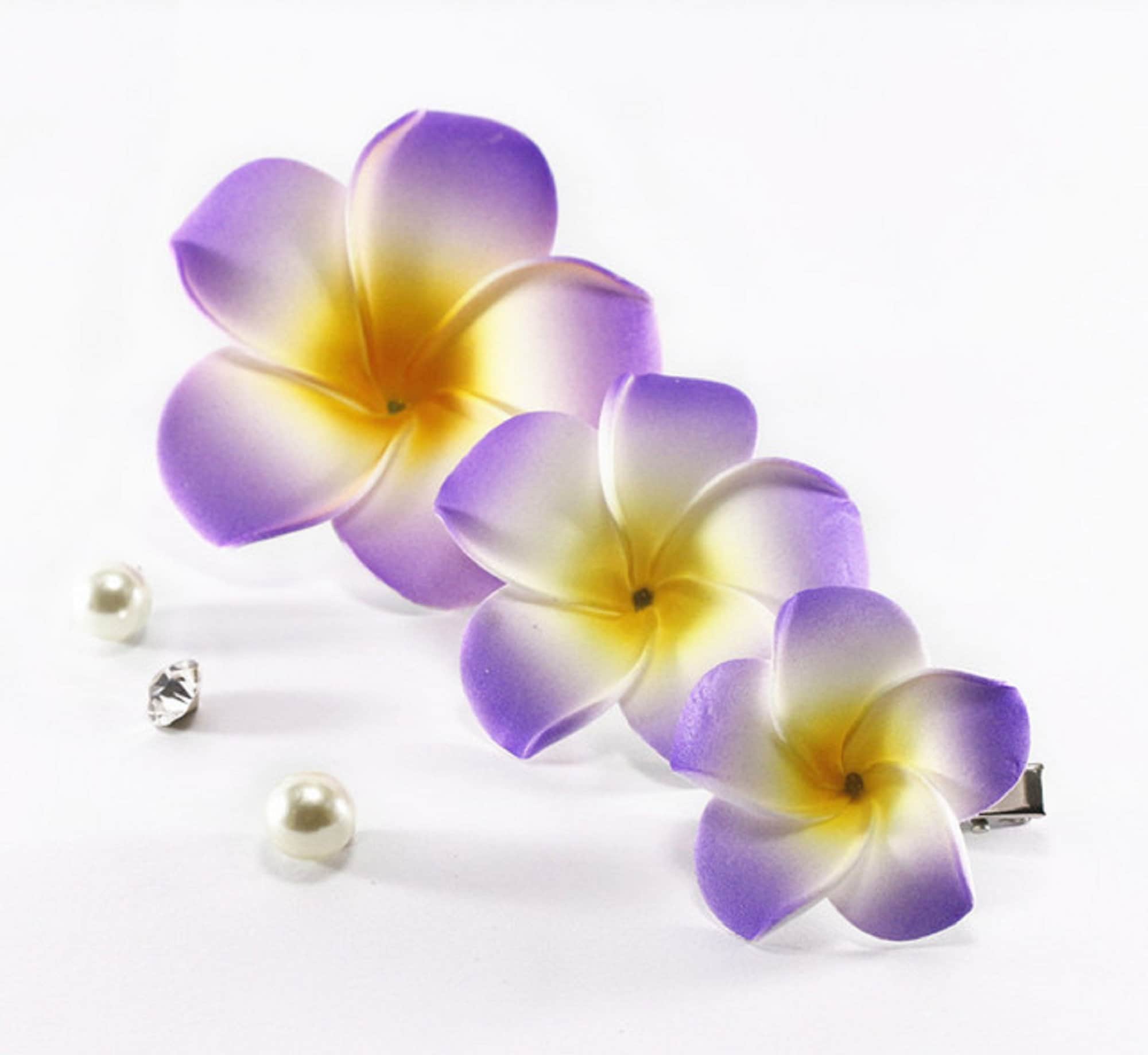 LITIA Frangipani Hairclip main image 1