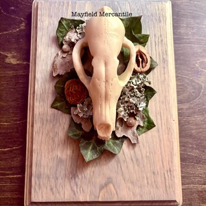 Resin Red Fox Skull Wall Art