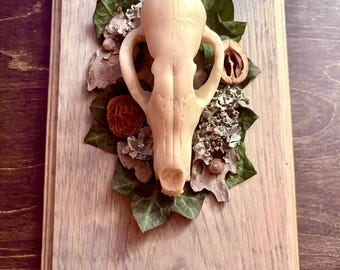 Resin Red Fox Skull Wall Art