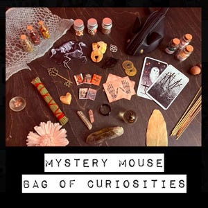 Mystery Mouse Random Bag of Curiosities
