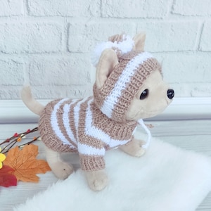 Knit handmade dog costume Knit puppy sweater and hat Pompom dog hat Striped dog costume Embroidered dog name personalized dog clothes