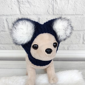 Chihuahua clothes online on sale