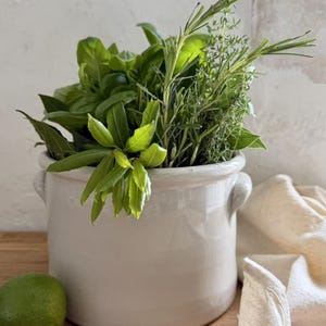May include: A white ceramic crock with two side handles filled with a variety of fresh green herbs including basil, rosemary, and bay leaves. A single green lime sits to the left of the container, and a folded off-white cloth is placed to the right.