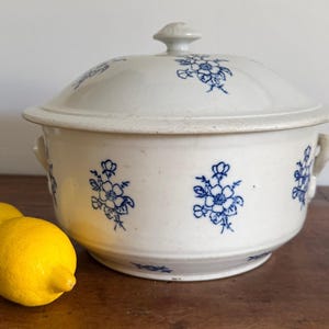 May include: A white ceramic tureen with a matching lid, featuring a repeating blue floral pattern. The round vessel has two side handles and a central knob on the lid. Two bright yellow lemons are positioned in the foreground of the tureen.