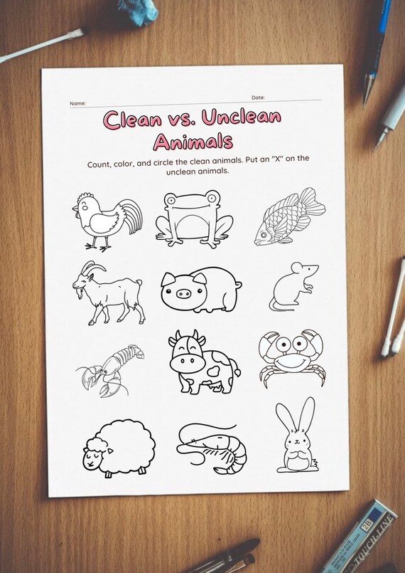 Bible Activity Sheet Coloring Page Clean and Unclean Animals Etsy