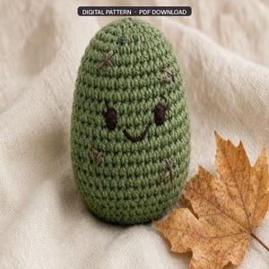 May include: An oval-shaped green crochet plush toy with a smiling face featuring dark brown embroidered eyes and a mouth. The surface has small brown cross-stitch details. A black label at the top reads DIGITAL PATTERN PDF DOWNLOAD.