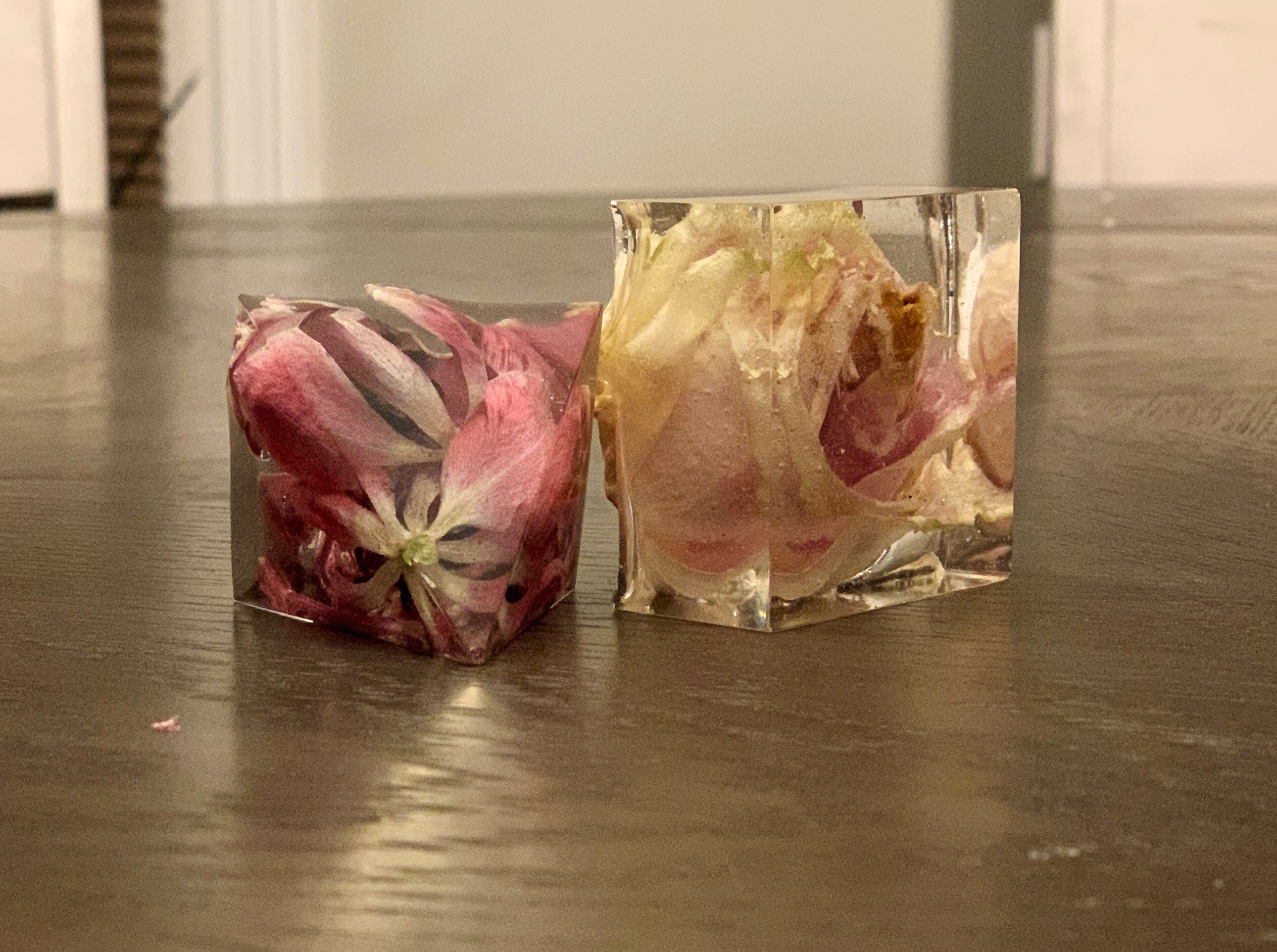 Preserved Flowers in Resin Etsy