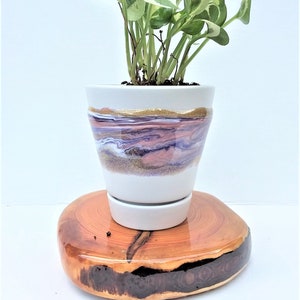 Resin Painted Planter, Succulent Planters,  Ceramic Planter, Rainbow Plant Pots, Pastel Succulent Pot, Unique Planters, Hand painted Pots