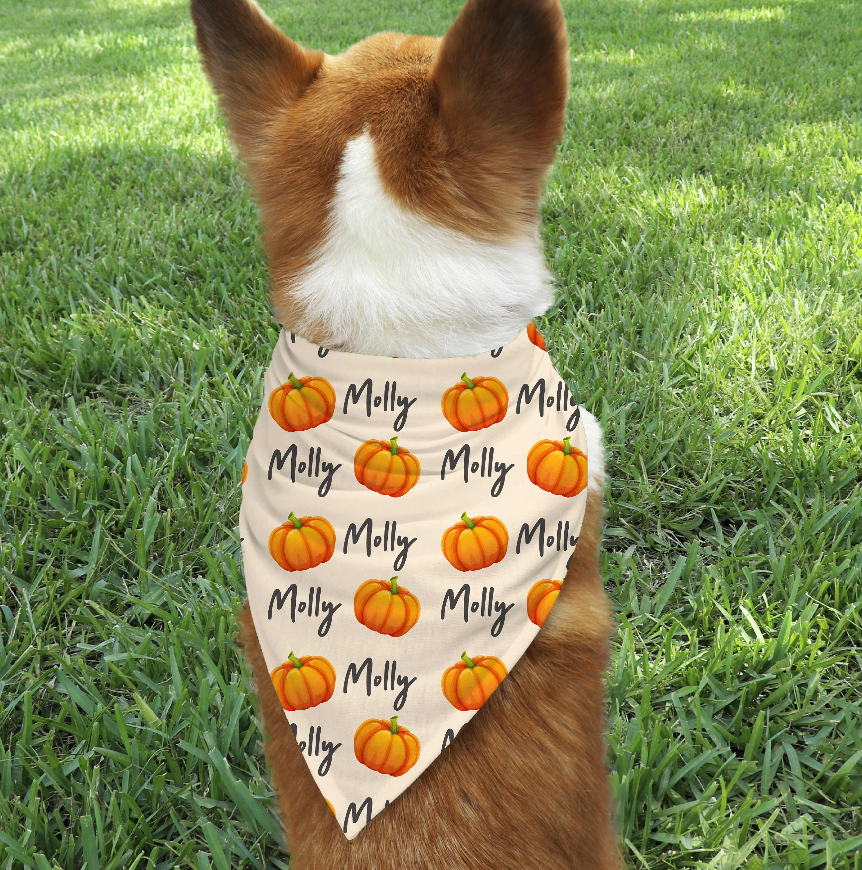 Personalized Halloween Dog Bandana/Harvest Dog Bandana/Fall Dog Bandana/Pumpkin Dog Bandana /Autumn Dog Bandana/Holiday Dog Bandana