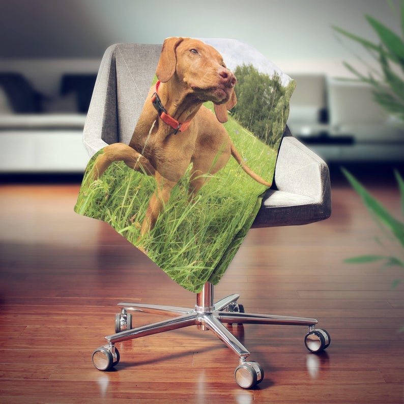 May include: A brown and white dog with a red collar is standing in a field of green grass. The dog is looking to the right of the image. The dog is on a throw blanket with a green and brown pattern.