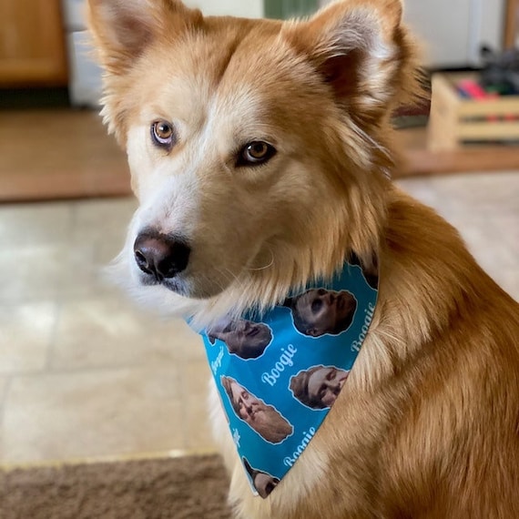 Welcome home dog bandana discount