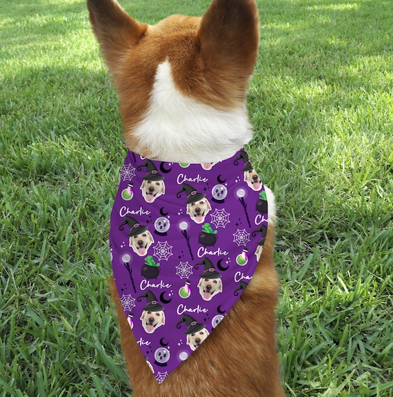 Corgi Pet Bandana - Purple Corgi Pet Bandana - Purple