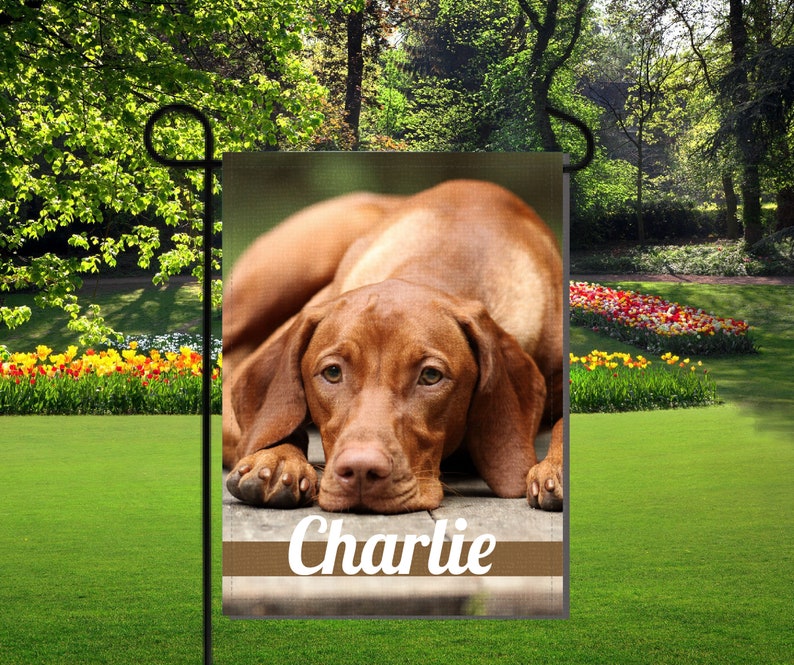 May include: A garden flag featuring a Vizsla dog with a brown coat, lying down with its head resting on its paws. The dog's name, "Charlie," is displayed in white script on a brown banner at the bottom of the flag. The flag is displayed outdoors.