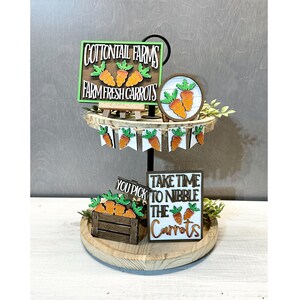 May include: A two-tiered wooden stand with a variety of carrot-themed decorations. The top tier features a sign that reads "Cottontail Farms Farm Fresh Carrots" and a round sign with two carrots. The bottom tier features a sign that reads "You Pick" and a sign that reads "Take Time To Nibble The Carrots".