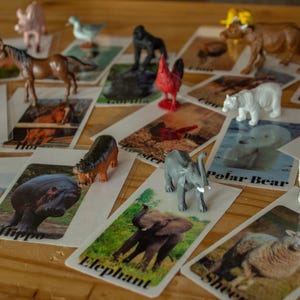 Printable Montessori Animal Flash Cards, animal matching cards, kids digital download, preschool activity, montessori game