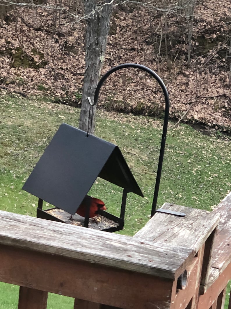 Bird Feeder image 2