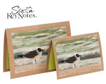 LAUGHING GULL  Handmade Florida Bird Note Card with Photographic Print