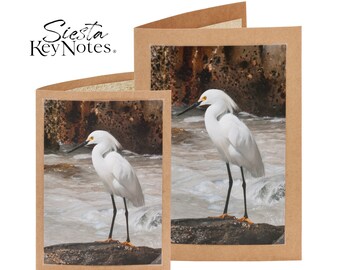 SNOWY EGRET Handmade Florida Bird Note Card with Photographic Print