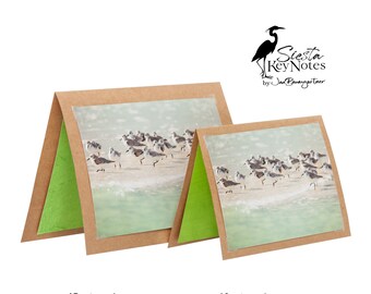 SANDERLING Handmade Florida Bird Note Card with Photographic Print