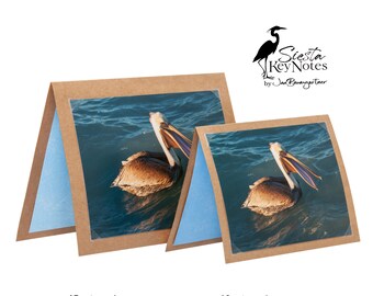 BROWN PELICAN Handmade Florida Bird Note Card with Photographic Print