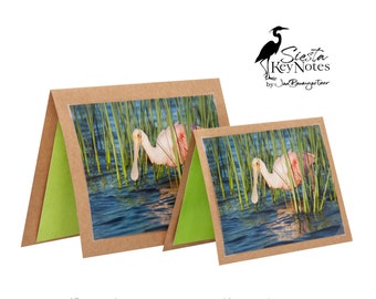 SPOONBILL Handmade Florida Bird Note Card with Photographic Print