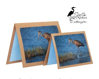 LIMPKIN Handmade Florida Bird Note Card with Photographic Print