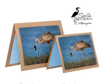 LIMPKIN Handmade Florida Bird Note Card with Photographic Print