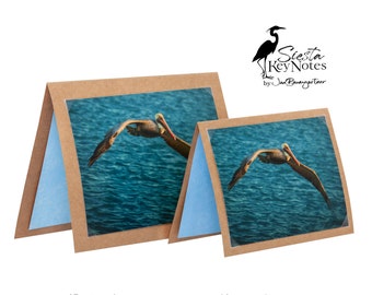 BROWN PELICAN Handmade Florida Bird Note Card with Photographic Print