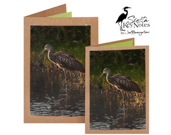 LIMPKIN Handmade Florida Bird Note Card with Photographic Print