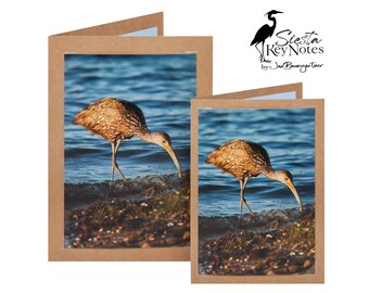 LIMPKIN Handmade Florida Bird Note Card with Photographic Print