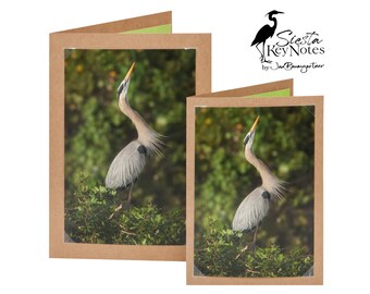GREAT BLUE HERON Handmade Florida Bird Note Card with Photographic Print