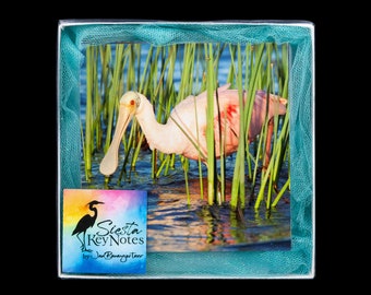 SQUARE MODERN Florida bird photos on upscale square note cards