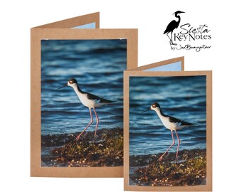 BLACK-NECKED STILT Handmade Florida Bird Note Card with Photographic Print