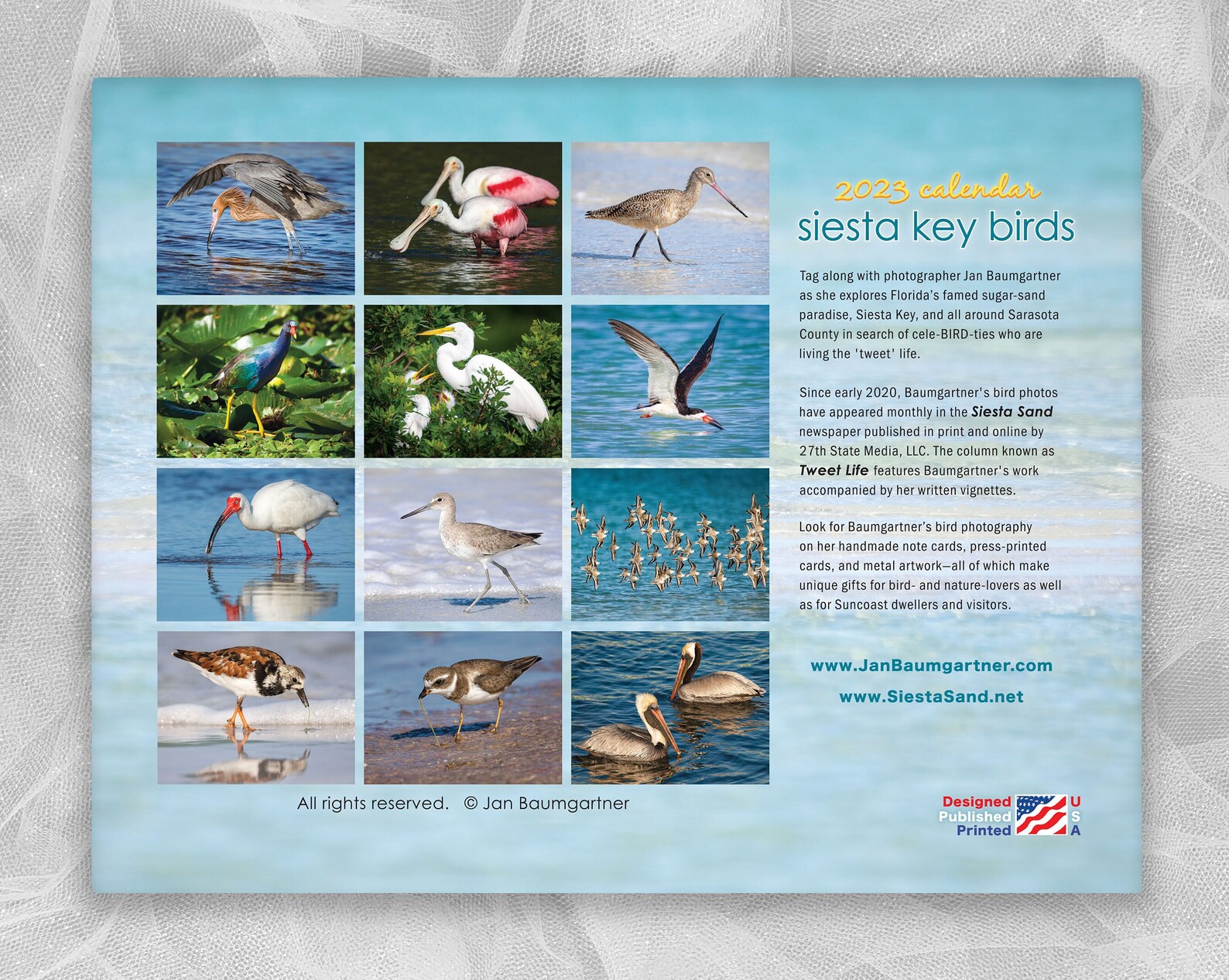 2023 Siesta Key Birds Calendar Etsy