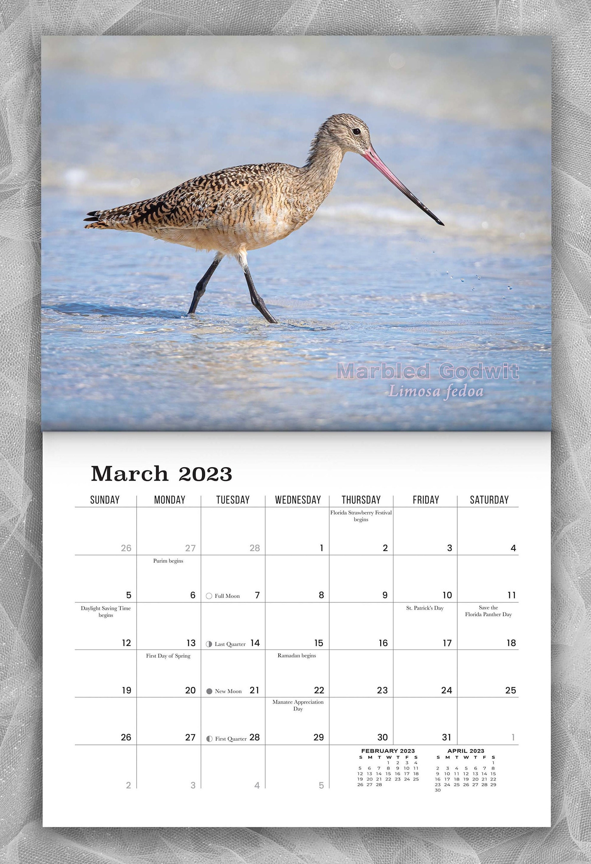 2023 Siesta Key Birds Calendar Etsy 2023 Siesta Key Birds Calendar Etsy