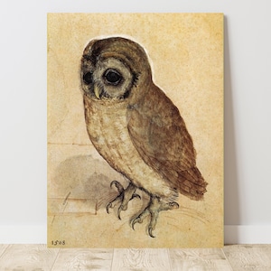 Albercht Durer,  Little Owl Albertina (1508), Vintage Canvas Art Print  J_844