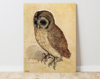 Albercht Durer,  Little Owl Albertina (1508), Vintage Canvas Art Print  J_844