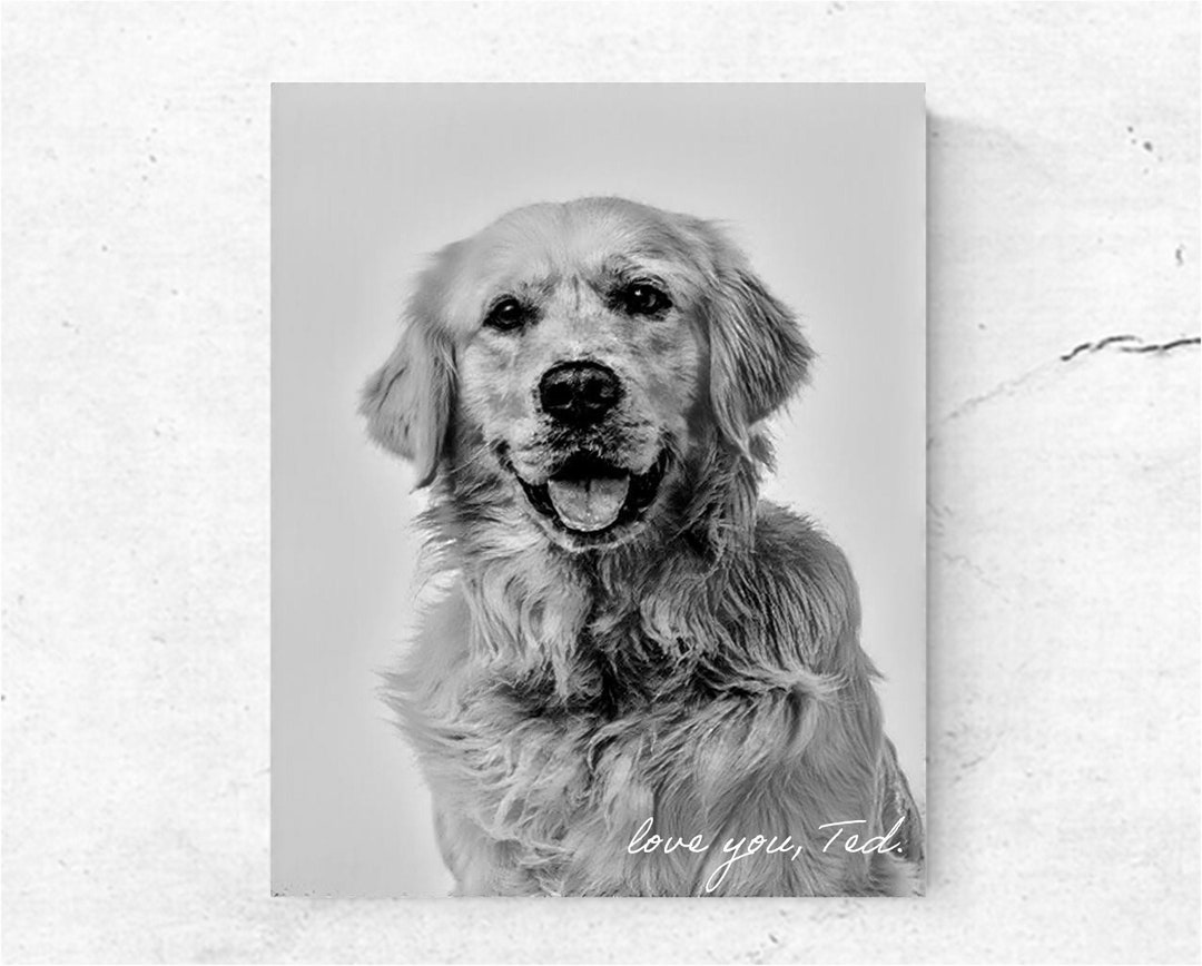 Personalized Pet Portrait on Canvas: Custom Digital Painting - Etsy