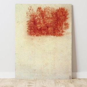 Leonardo da Vinci, A Copse of Trees (1508), Vintage Canvas Art Print J_648