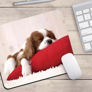 May include: A white and brown Cavalier King Charles Spaniel dog is sleeping on a red pillow. The dog is lying on its side with its head resting on the pillow. The dog's paws are visible and its eyes are closed.